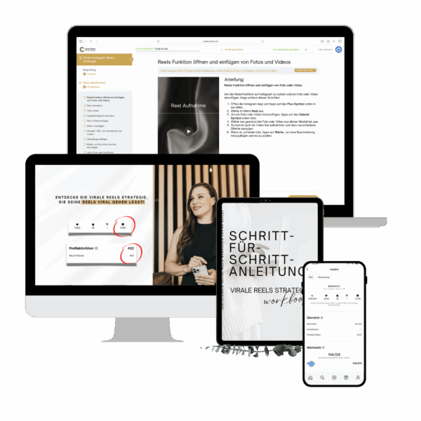 Virale Instagram Reel Strategie Carina Kerler Onlinekurs