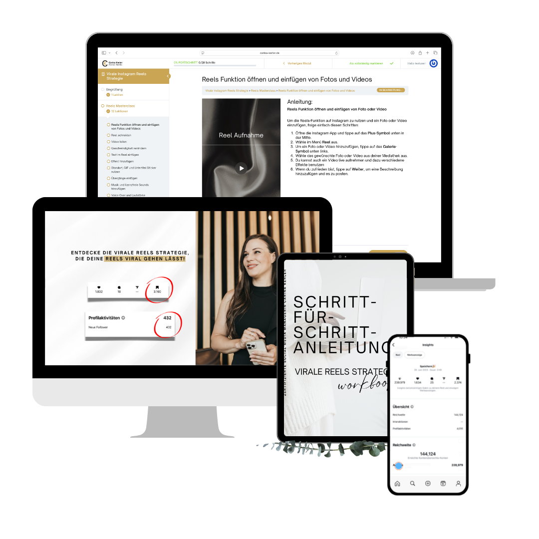 virale-instagram-reel-strategie-carinakerler-onlinekurs Virale Instagram Reels Strategie von Carina Kerler